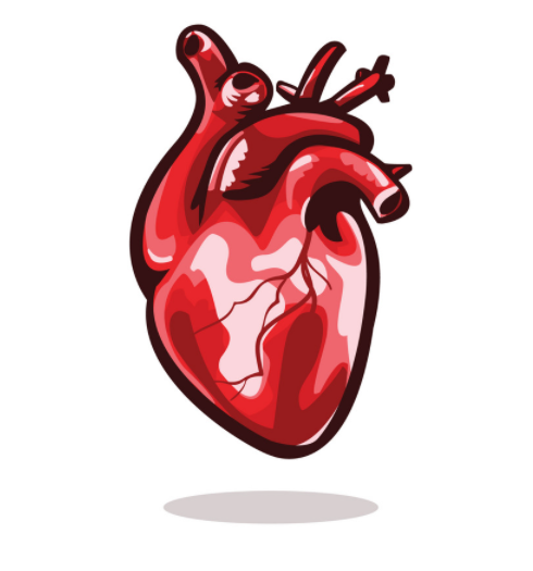 Mobility Scotland - The Importance of getting a good night's sleep heart